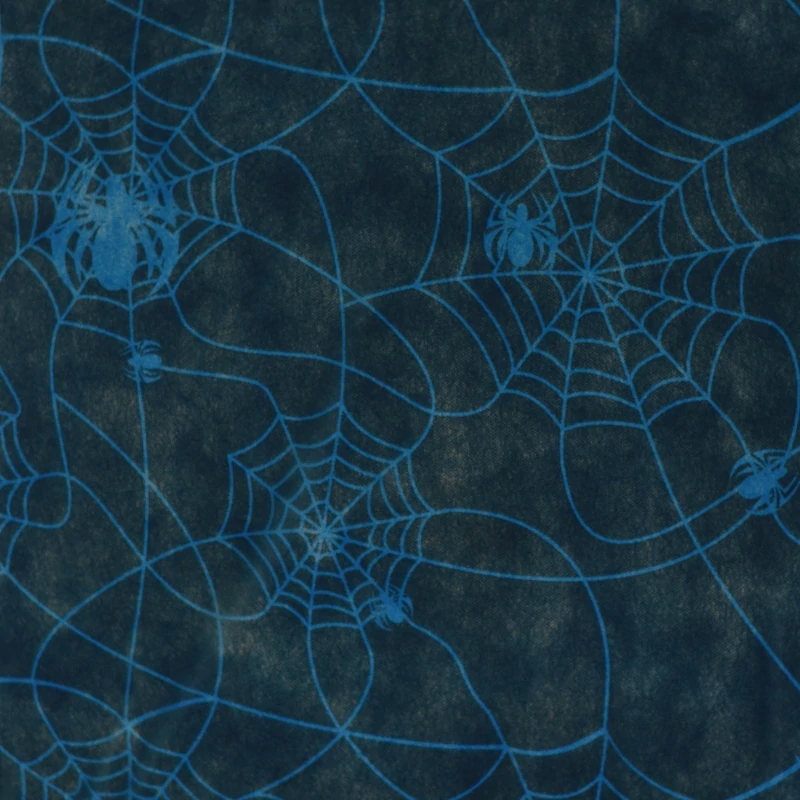 Aranha Azul