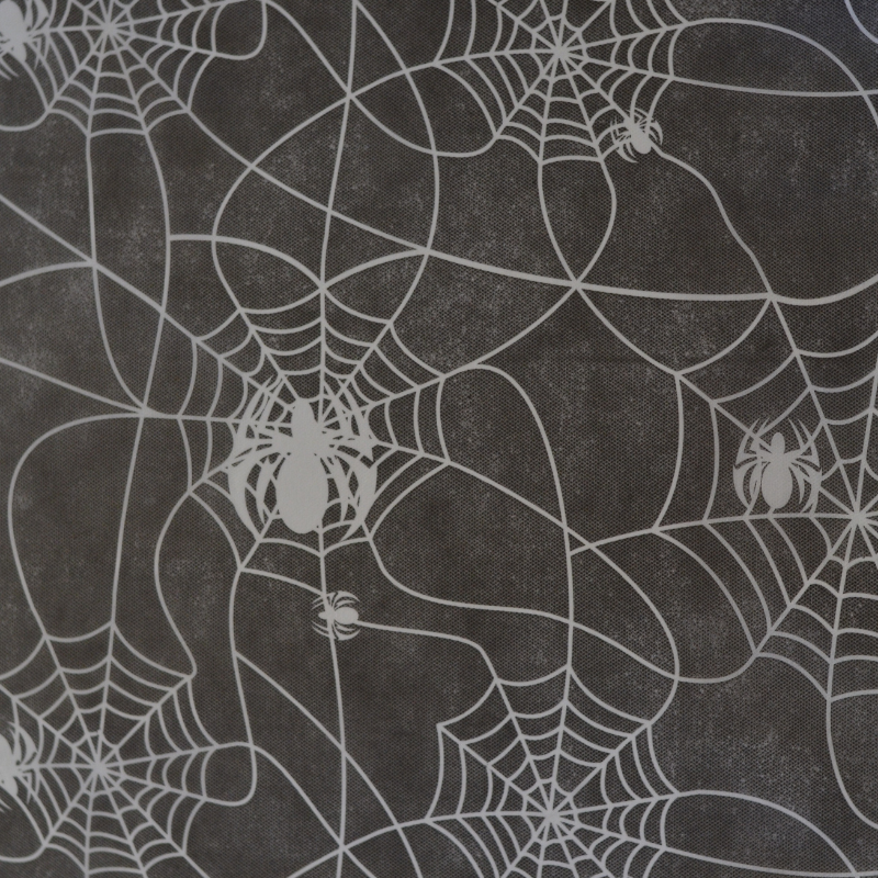 Aranha Branco