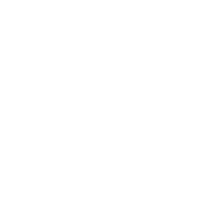 NW Sorocaba Logo