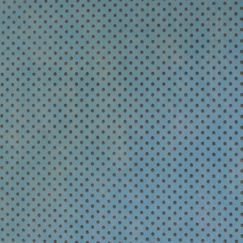 P. Poás 005 Azul